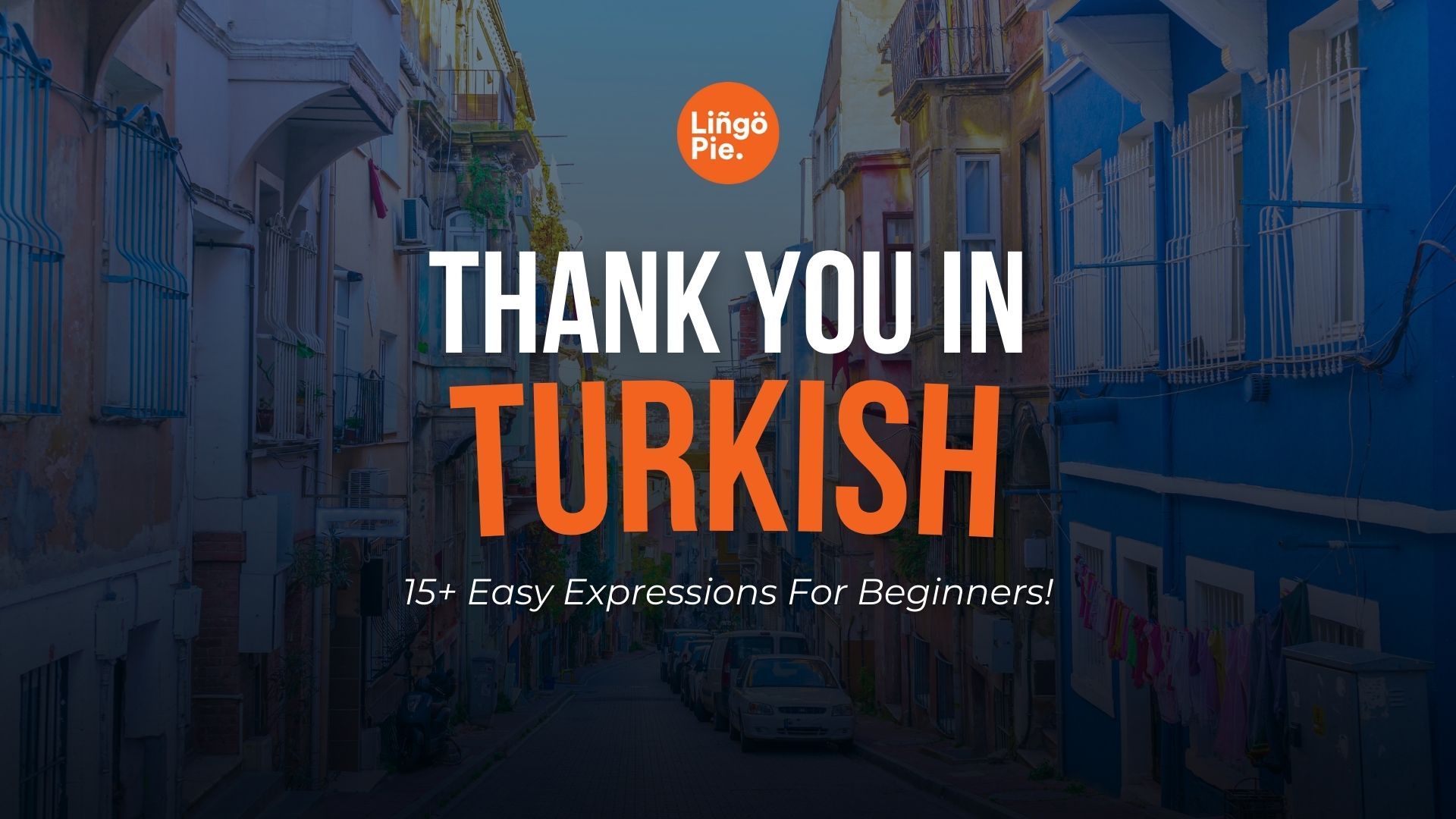 15+ Best Ways To Say Thank You In Turkish Language