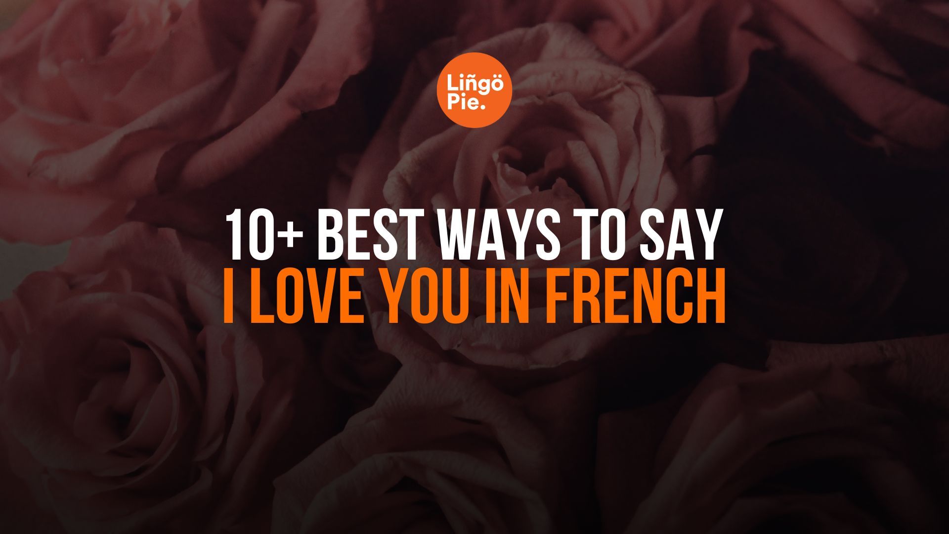 10+ Best Ways To Say I Love You In French Like a Native Speaker