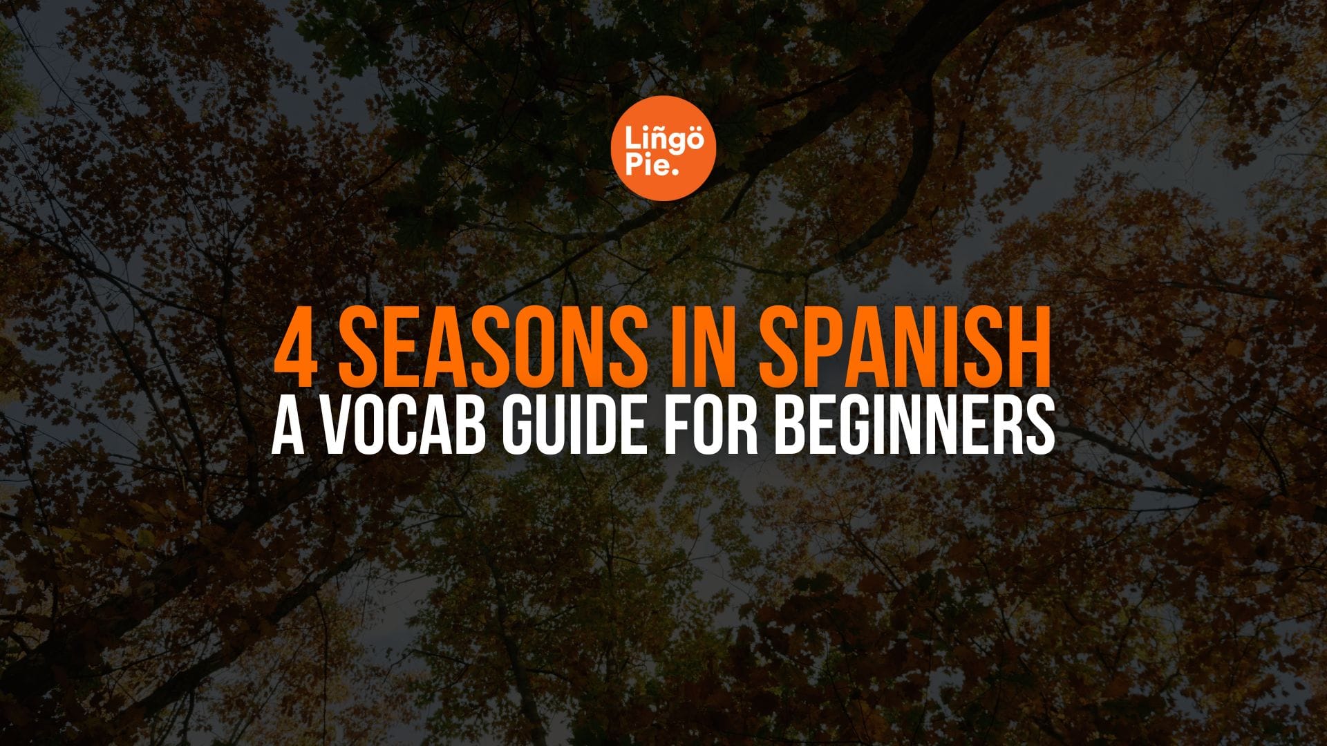 4 Seasons In Spanish: A Vocab Guide For Beginners