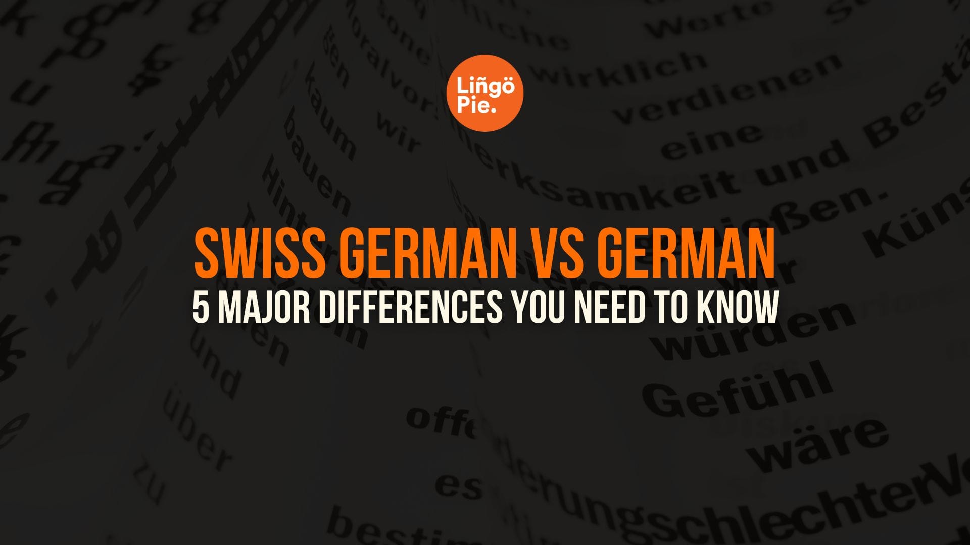 Swiss German And German Language: 5 Major Differences [Guide]