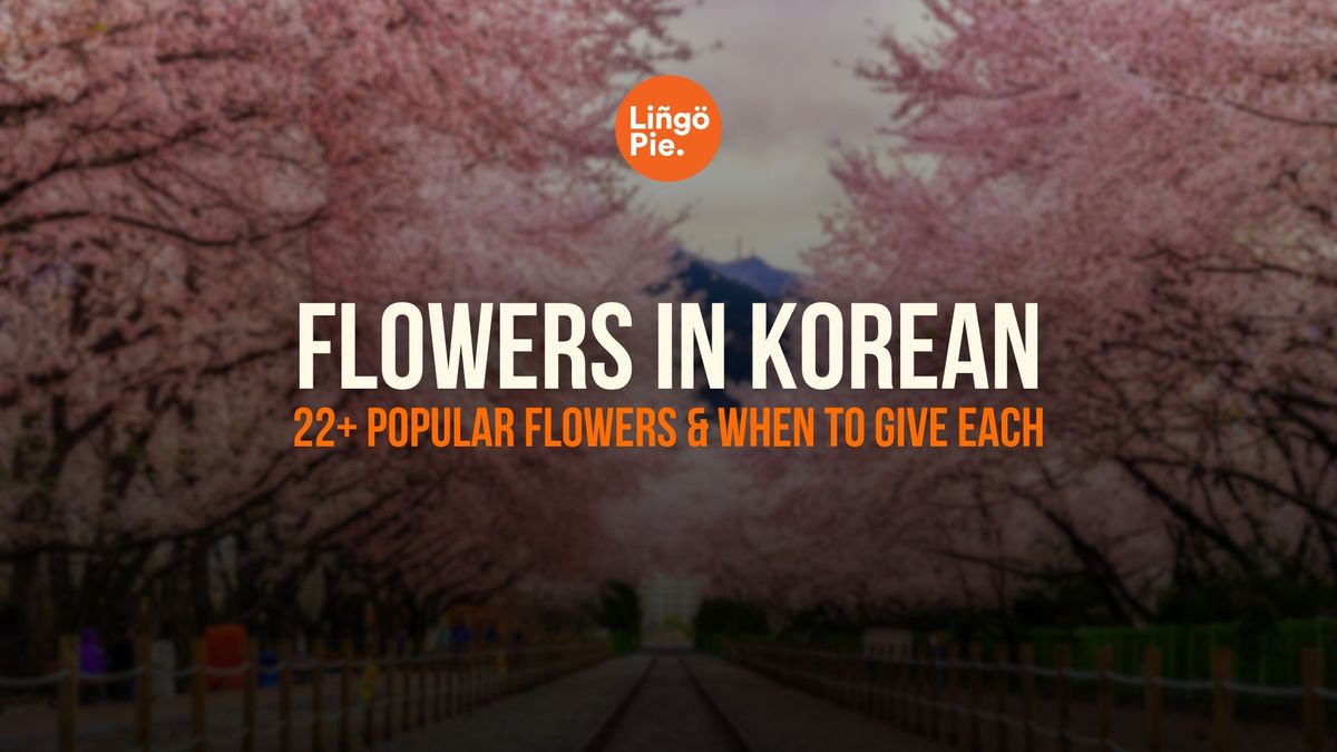 22+ Popular Flowers In Korean And When to Give Them