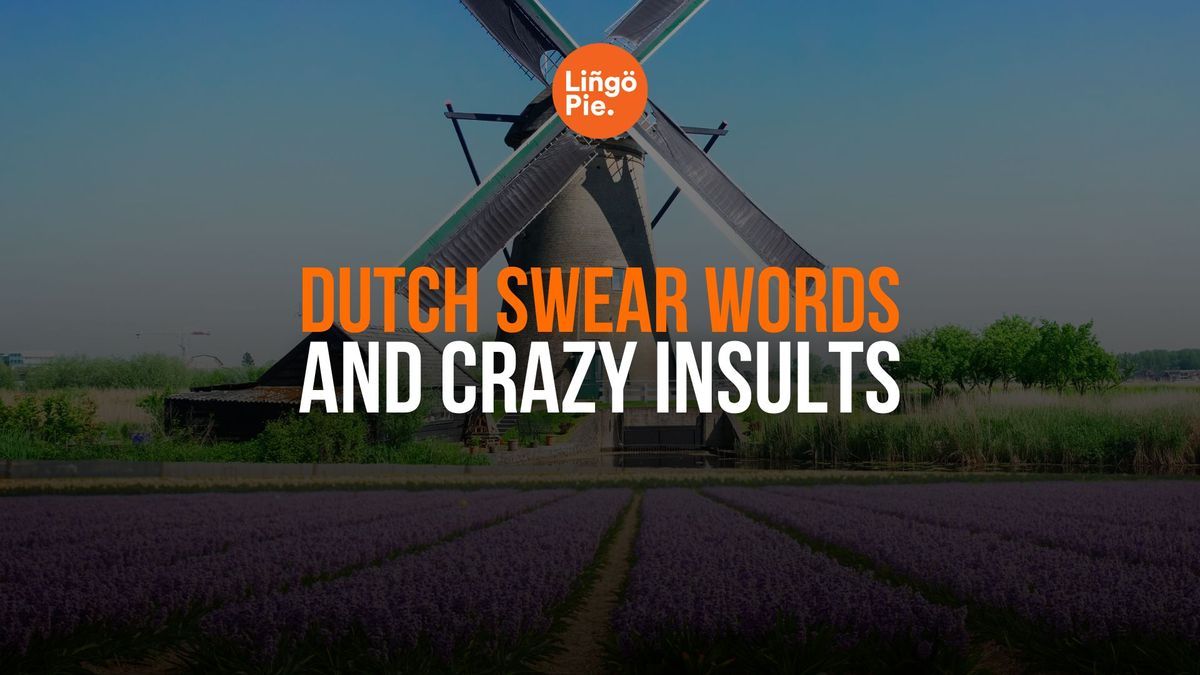 Dutch Swear Words And Insults