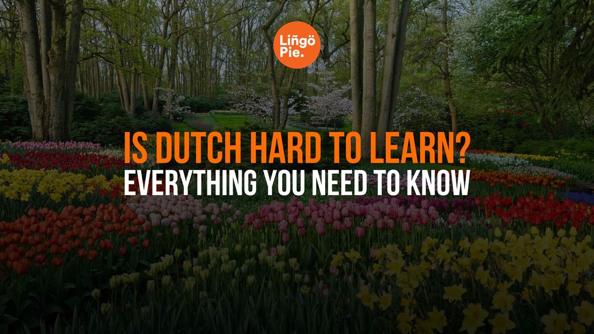 Is Dutch Hard to Learn