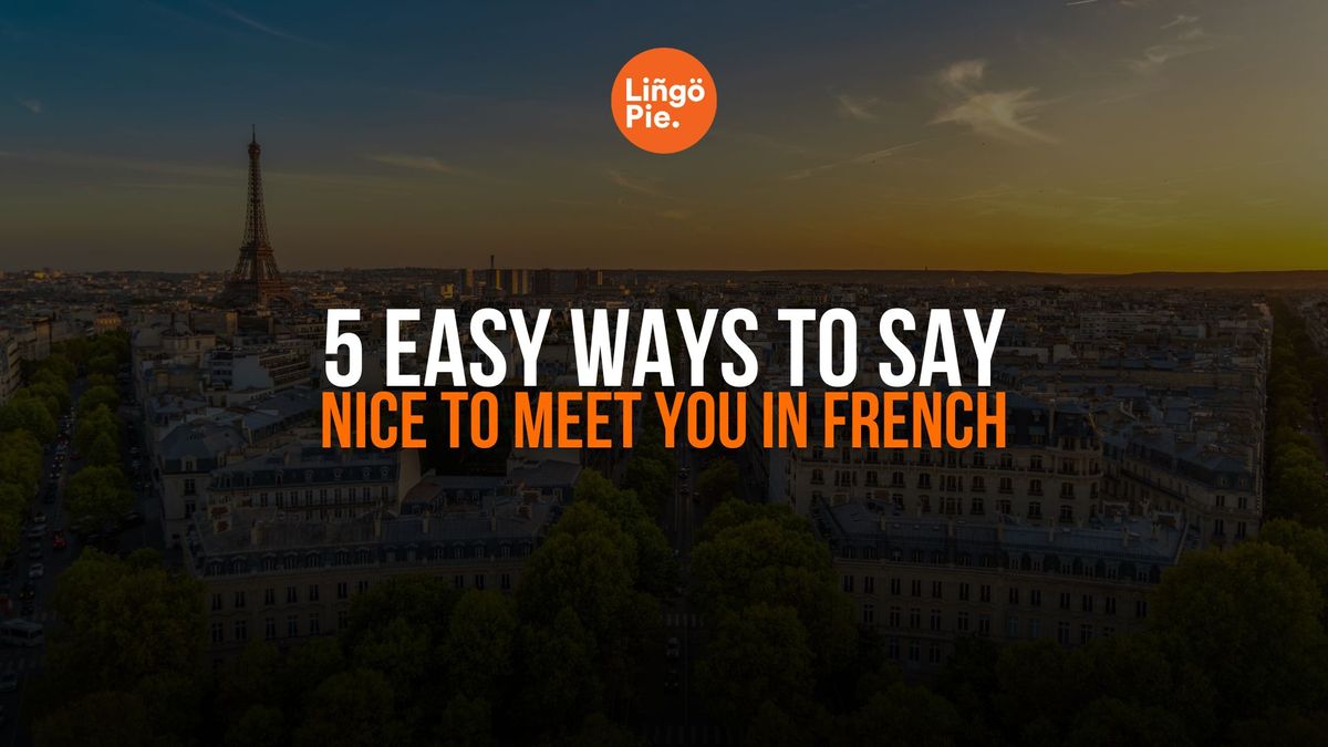 Nice To Meet You In French