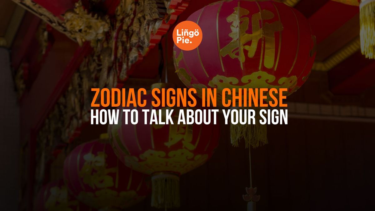 12 Zodiac Signs In Chinese: How To Talk About Your Sign