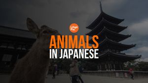 Animals in Japanese - a Brief Guide