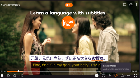 Learn a Language With Subtitles: A Comprehensive Guide for 2024