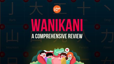 WaniKani Review